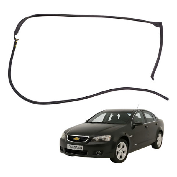 Vedação Porta Traseira Esquerda Omega Cd 2008 2009 2010 Preto