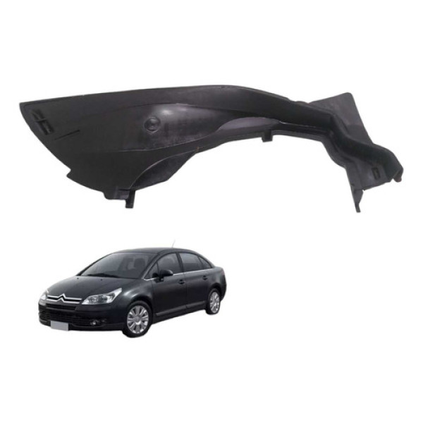  Acabamento Churrasqueira Direita C4 Pallas 2009 Usado