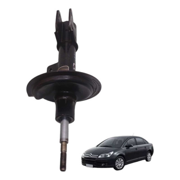 Amortecedor Dianteiro Esquerdo Citroen C4 Pallas 2009