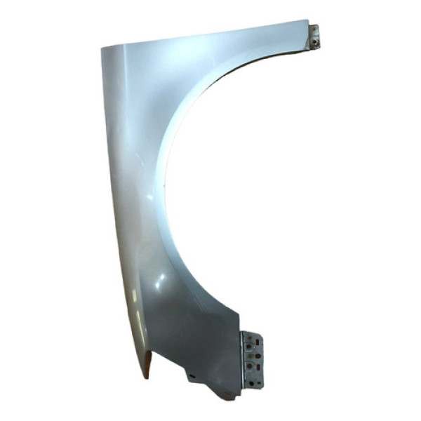 Paralama Esquerdo Volkswagen Passat 2006