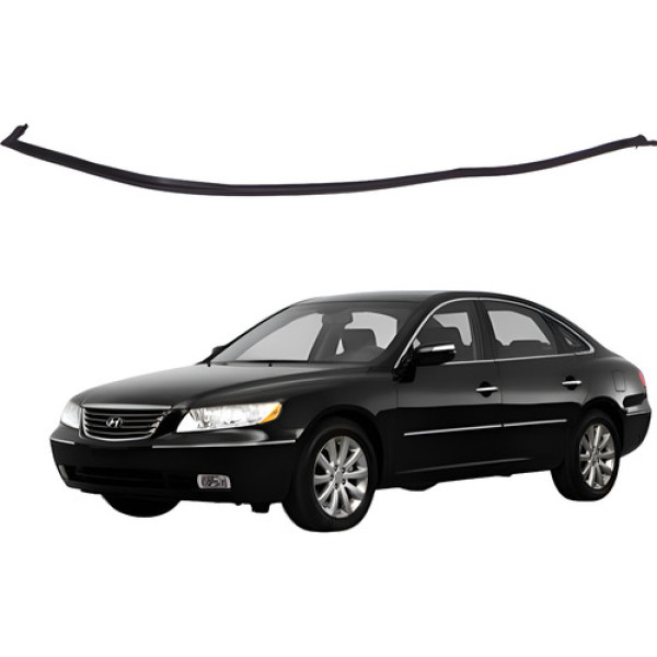 Borracha Vedação Porta Dianteira Direita Azera 3.3 2008 2010 Preto