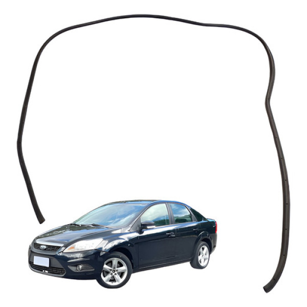 Borracha Porta Traseira Direita Focus 2.0 2009 2012