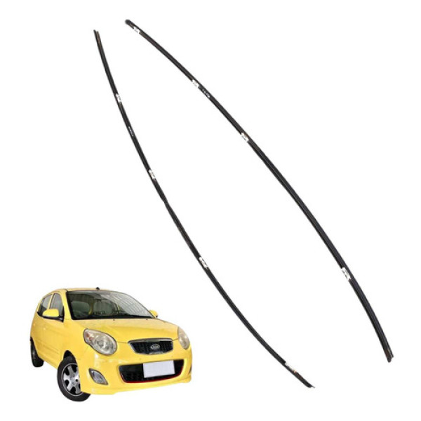 Friso Teto Par Picanto 2008 2010 1.0l 