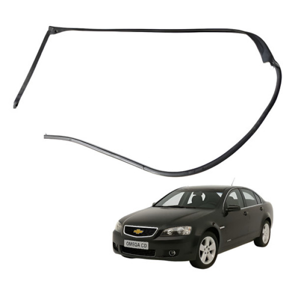 Borracha Vedação Porta Traseira Direita Omega Cd 2008 2010 Preto