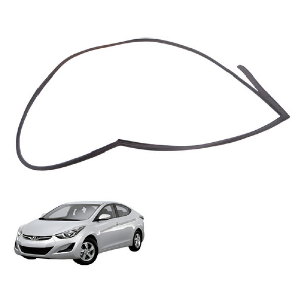 Borracha Porta Traseira Ld Hyundai Elantra 2012 2014 Preto