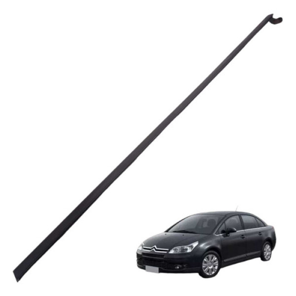 Pestana Externa Traseira Le Citroen C4 Pallas 2009