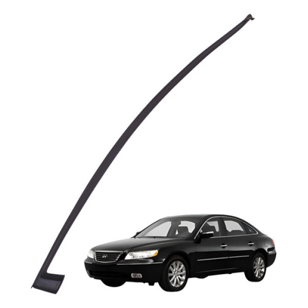 Borracha Vedação Porta Dianteira Esquerda Azera 2008 2010 Preto