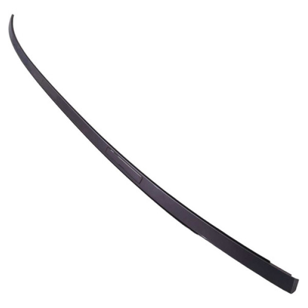 Friso Teto Esquerdo Bmw 320i 2010