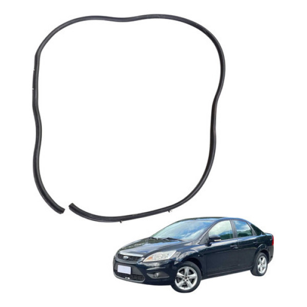 Borracha Porta Dianteira Direita Focus 2.0 2009 2012 Flex