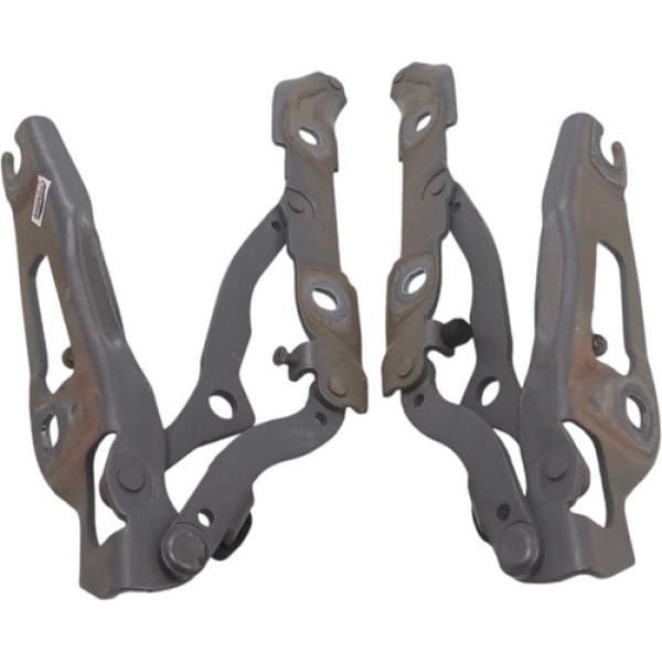 Par Dobradiça Tampa Traseira Bmw 320i 2009 2010