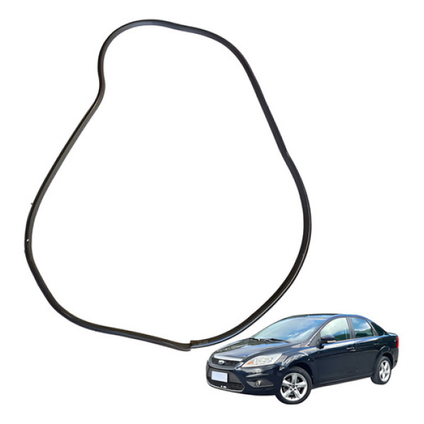 Borracha Porta Traseira Esquerda Focus 2.0 2009 2012