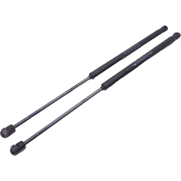 Par Amortecedor Tampa Traseira Renault Sandero 2008