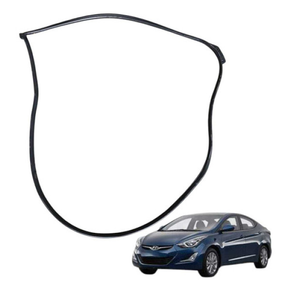 Borracha Vedação Porta Dianteira Esquerda Elantra 2012 2013 Preto